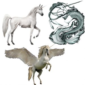is-the-unicorn-a-land-sea-or-air-animal